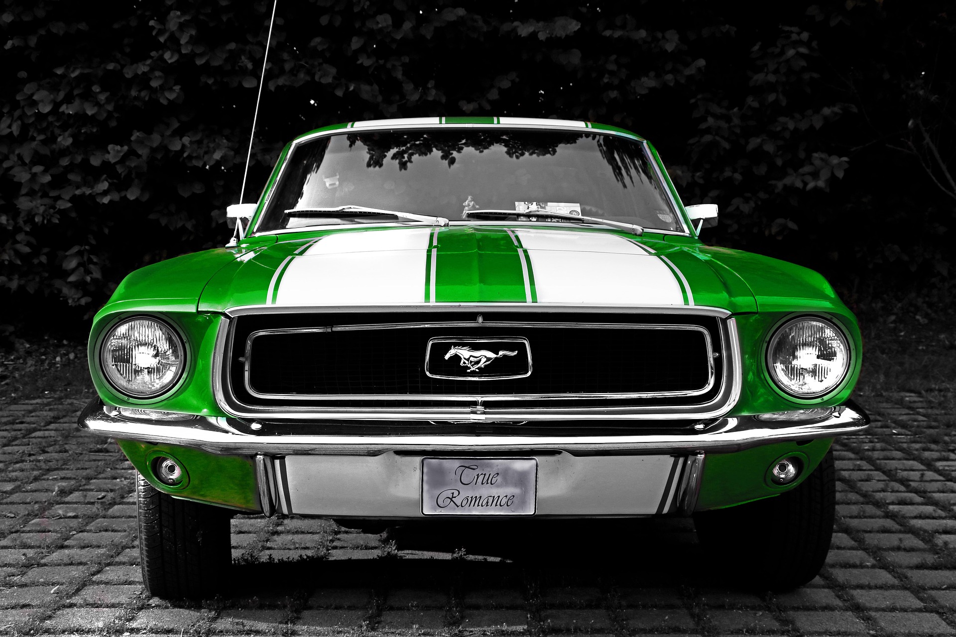 M Spitelli Auto Sales showroom